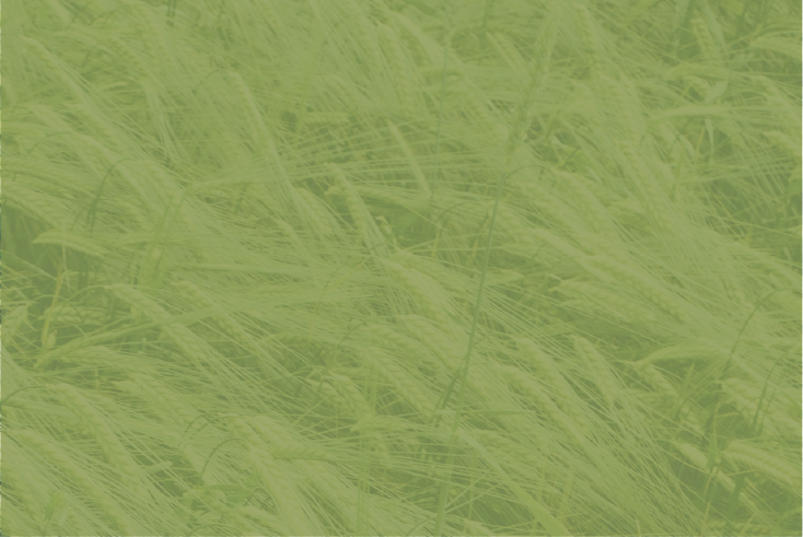 https://www.yhhouse-repairs.com/img/back/original/subformaldehydebanner/1651748967.png